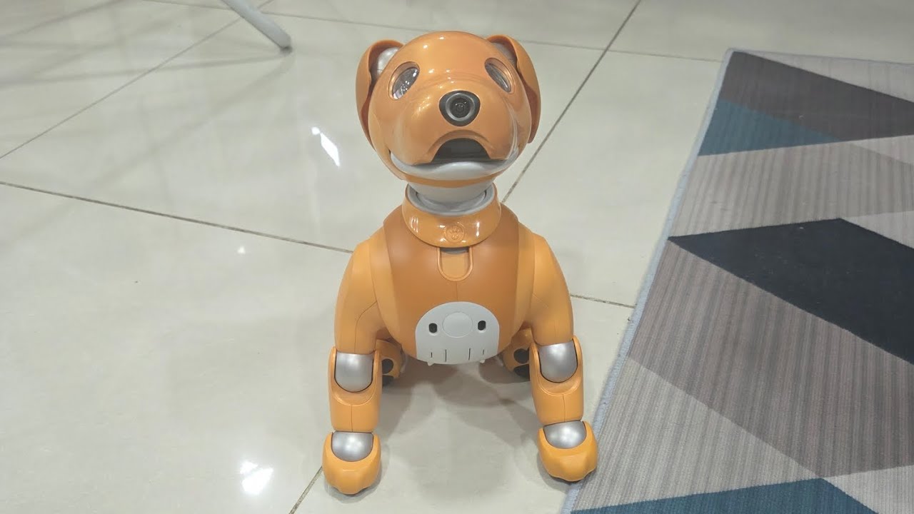 robot vlog