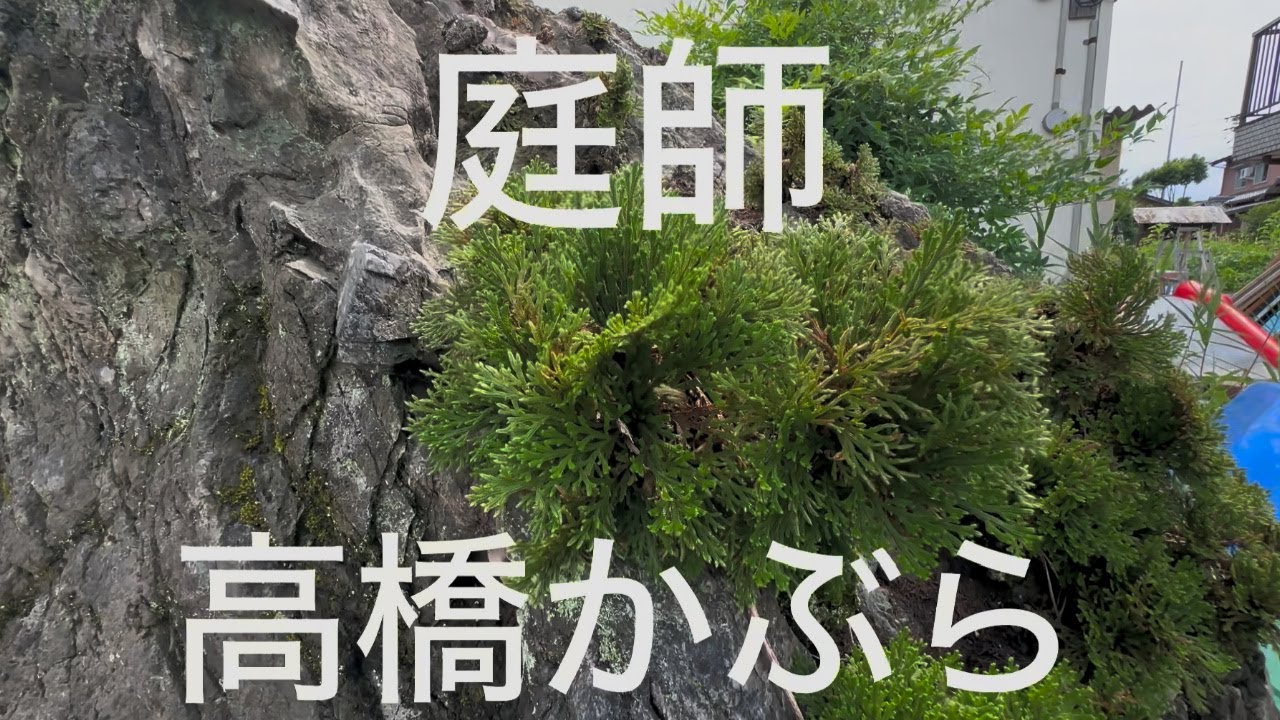 庭師　高橋かぶら