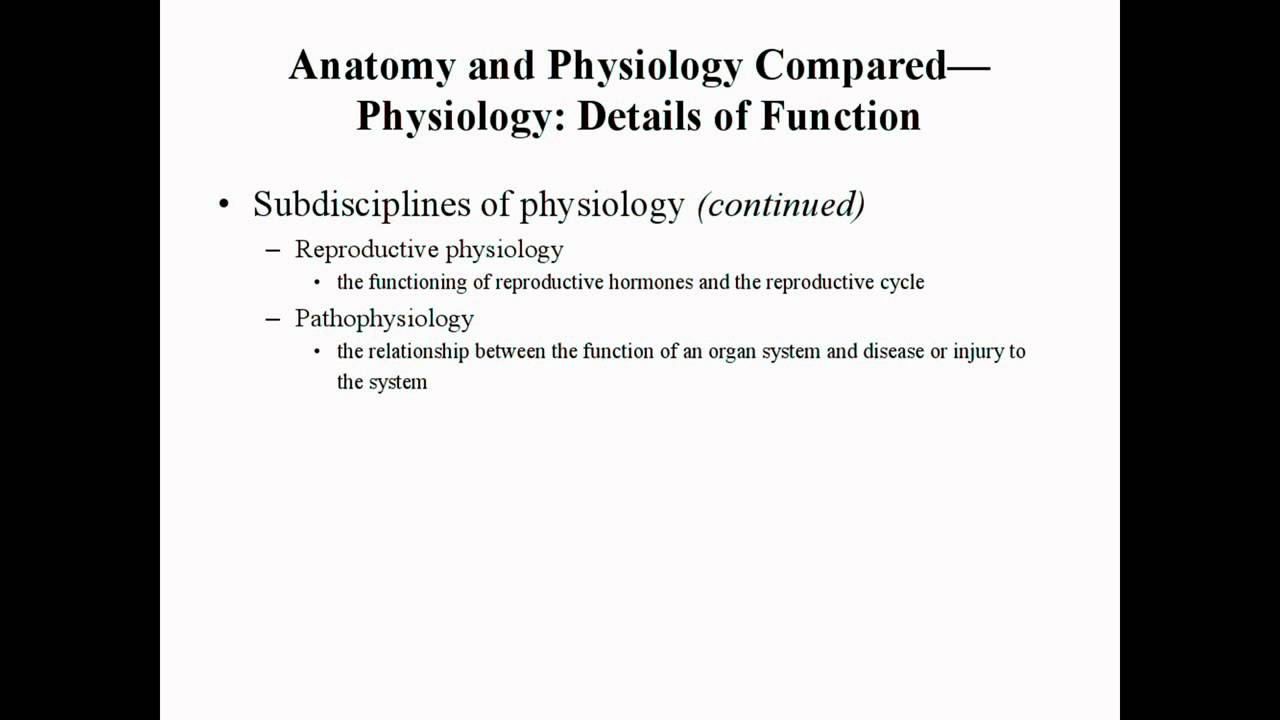 Anatomy and Physiology concepts by Prof Knoppy