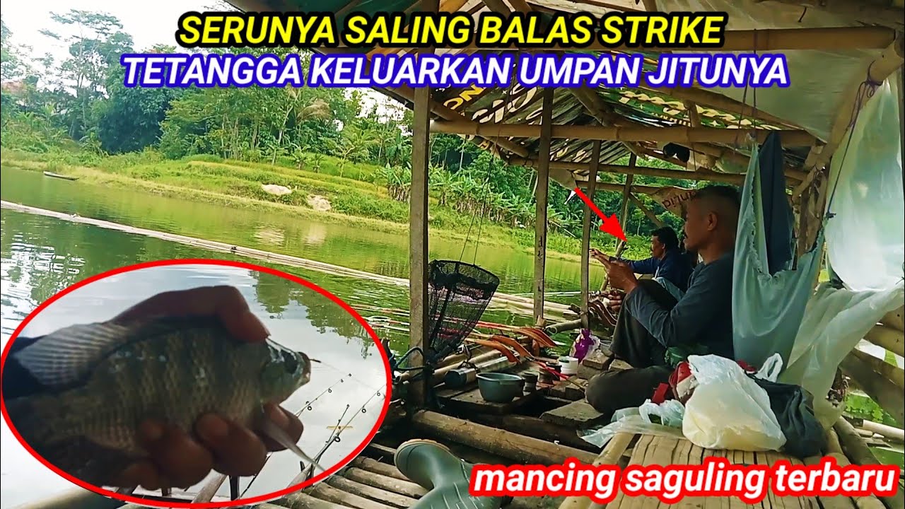 SERU JUGA SALING BALAS STRIKE TETANGGA KELUARKAN UMPAN JITUNYA || MANCING SAGULING TERBARU 2026