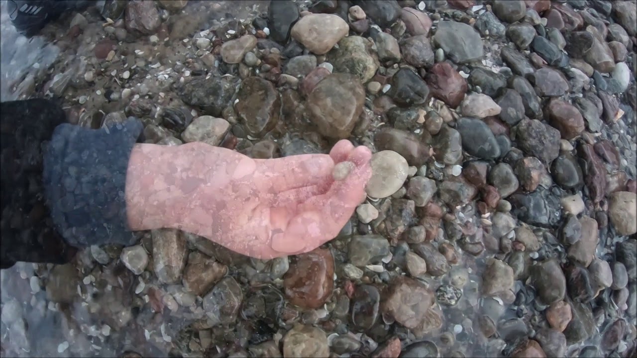 Fossilien sammeln an der Ostseeküste im Februar 2019 ( Stubbenfelde )