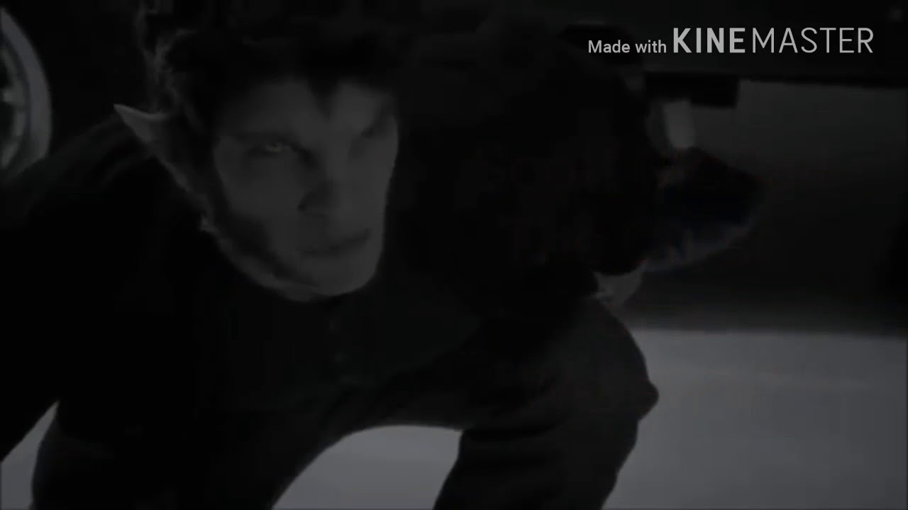 Scott McCall - The Curse of a Werewolf