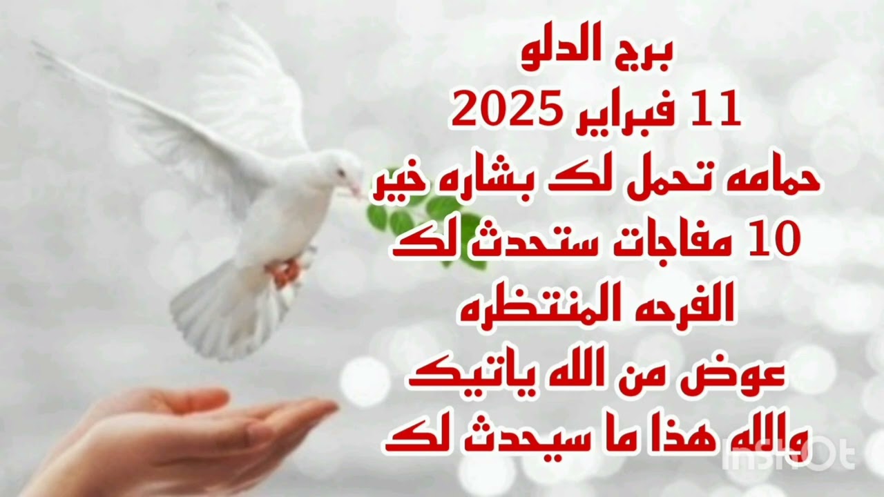 برج الدلو 11فبراير 2025//حمامه تحمل لك بشاره خير 💫 10 مفاجات ستحدث لك 💫 والله هذا ما سيحدث لك