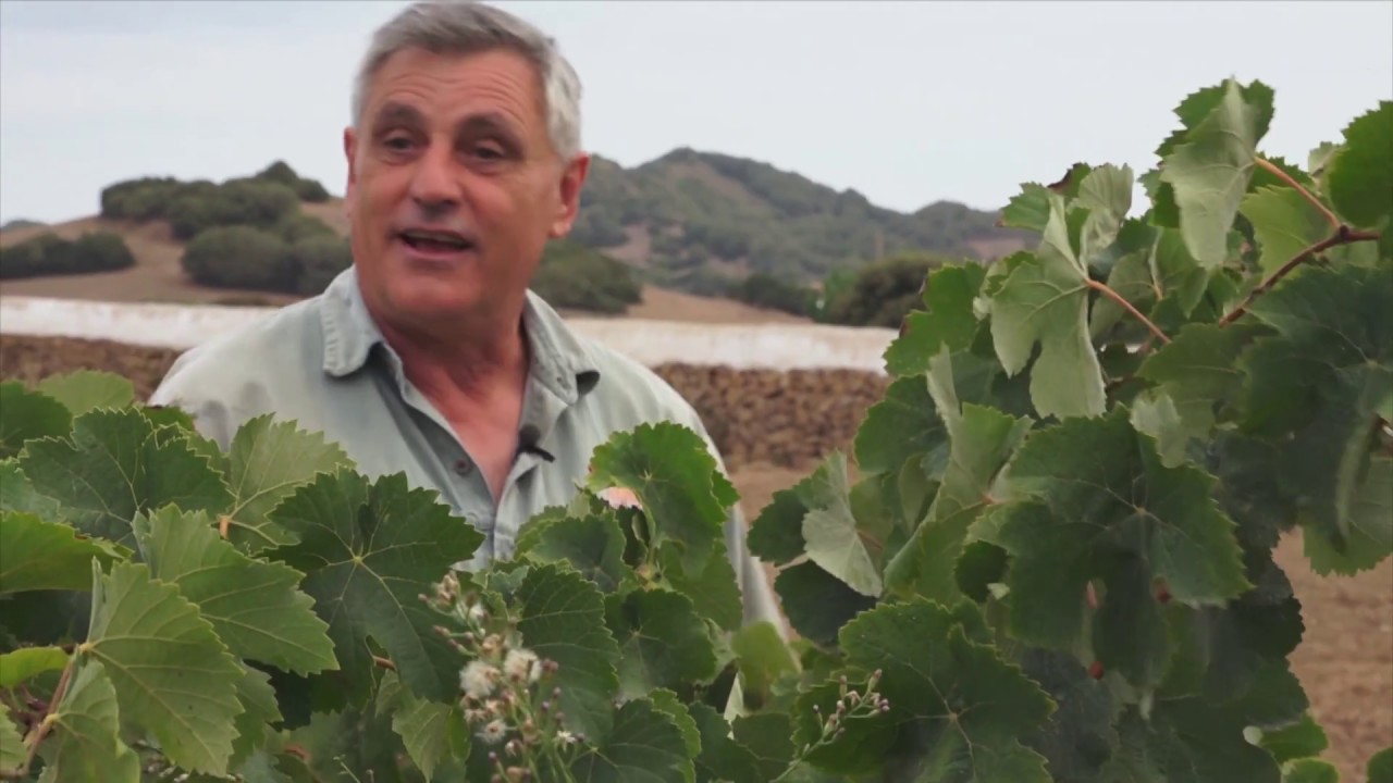 UEP! COM ANAM? [422] - Garroves d’or, verema menorquina i figues al forn