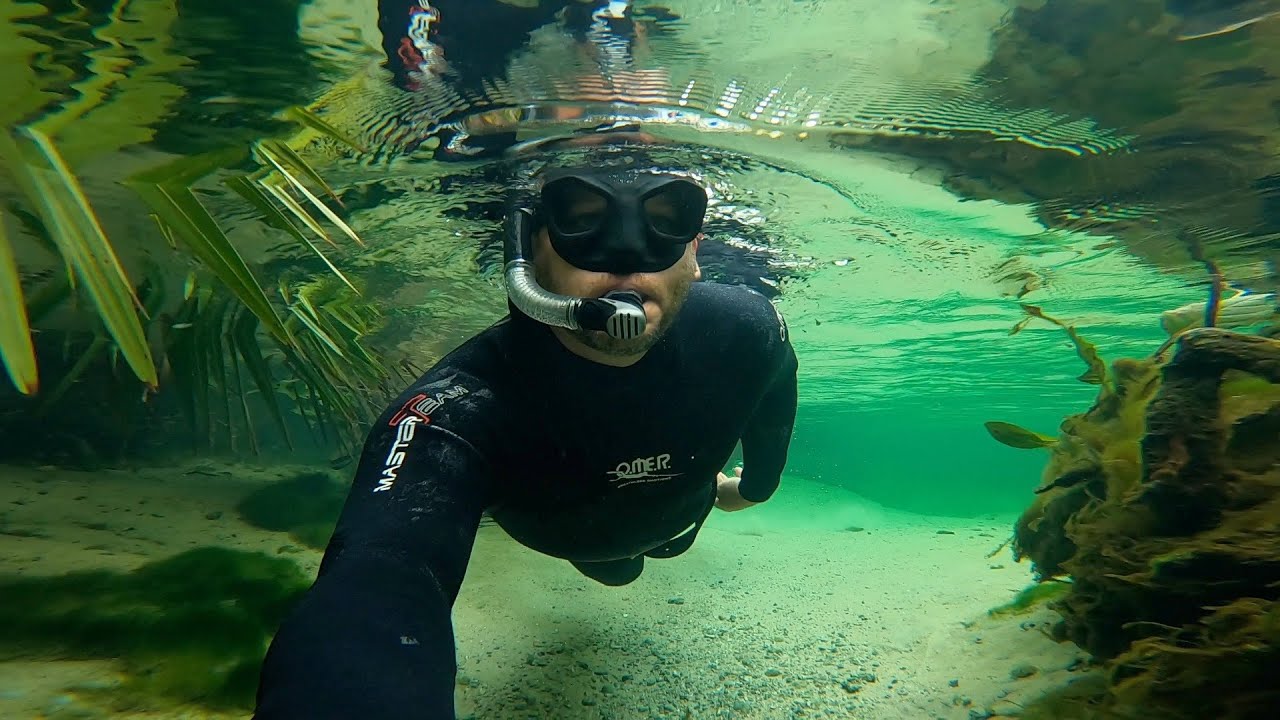 Freediving VOLUSIA BLUE SPRINGS in Central Florida
