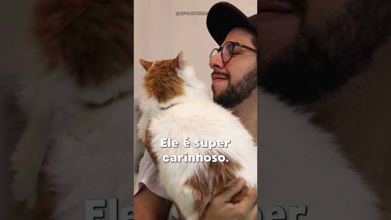 02. Thomas, o segundo gato da casa