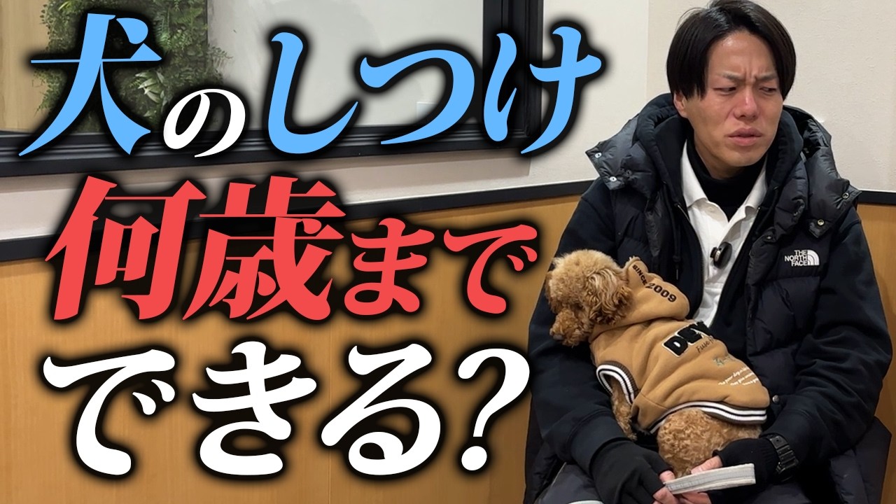 【本音】犬のしつけはいつまでできる？忖度なしで答えます【警察犬ドッグトレーナー解説】