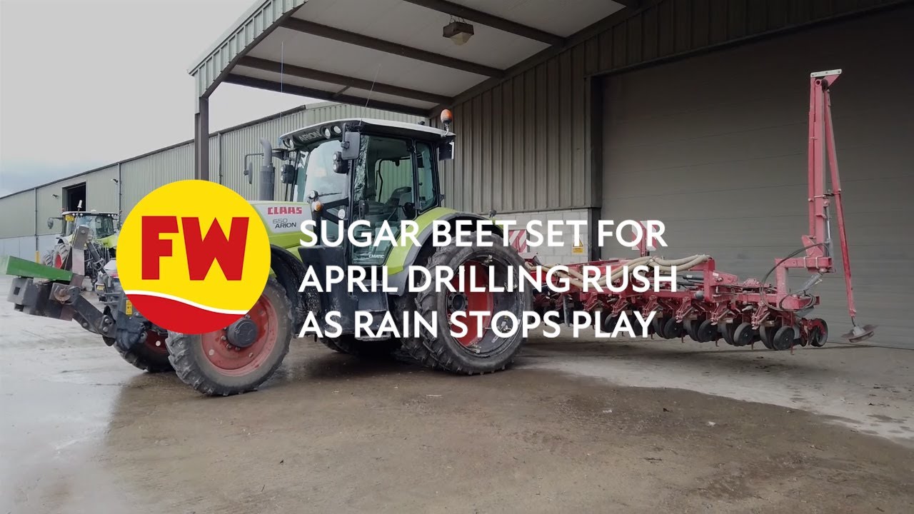 Sugar beet set for April drilling rush as rain stops play