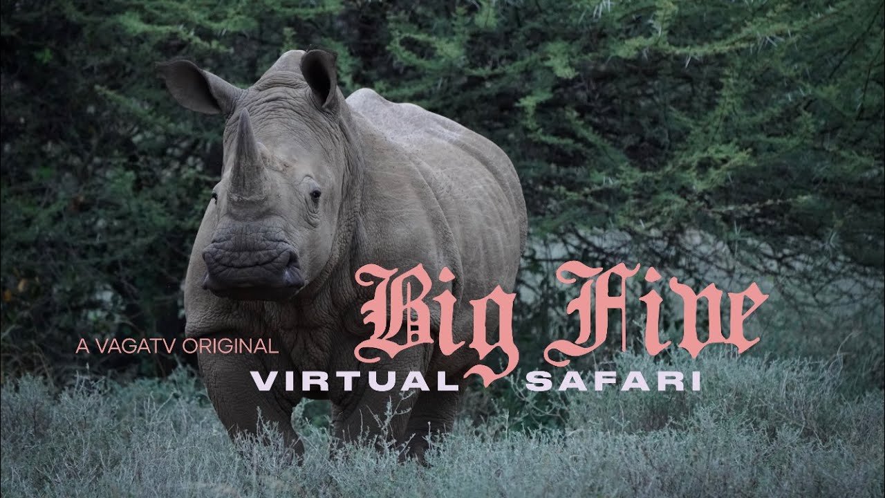 Virtual Safari: Kruger's Big Five (Ep. 5)