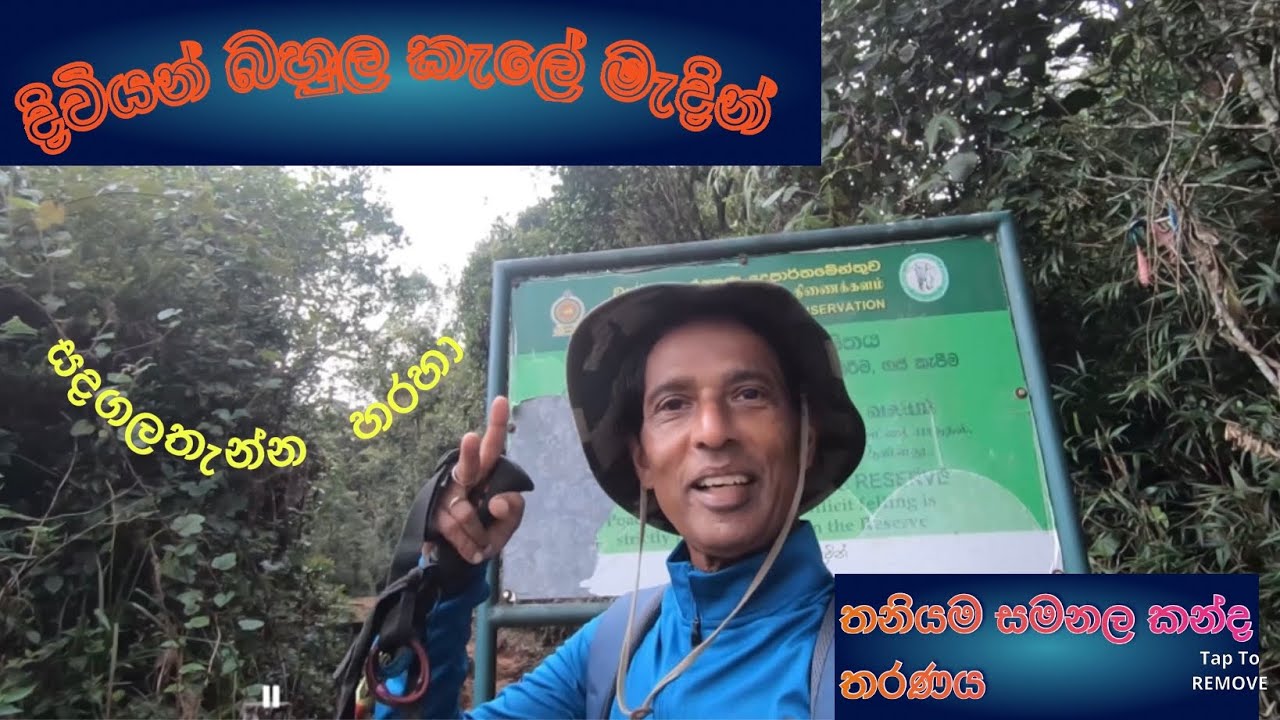 Solo hiking to sripada via Sandagalathenna