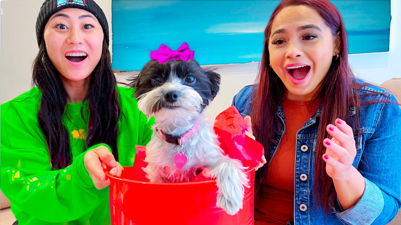 SURPRISING MY BEST FRIEND WITH HER DREAM DOG!!