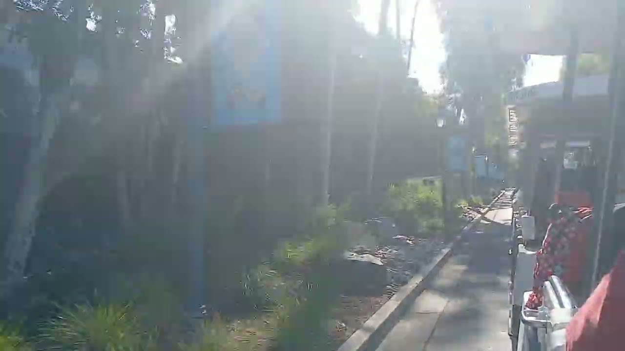Disneyland Tram, arriving at the park, special bonus tram, Mickeys Santa Village, Mickeys Pinecone