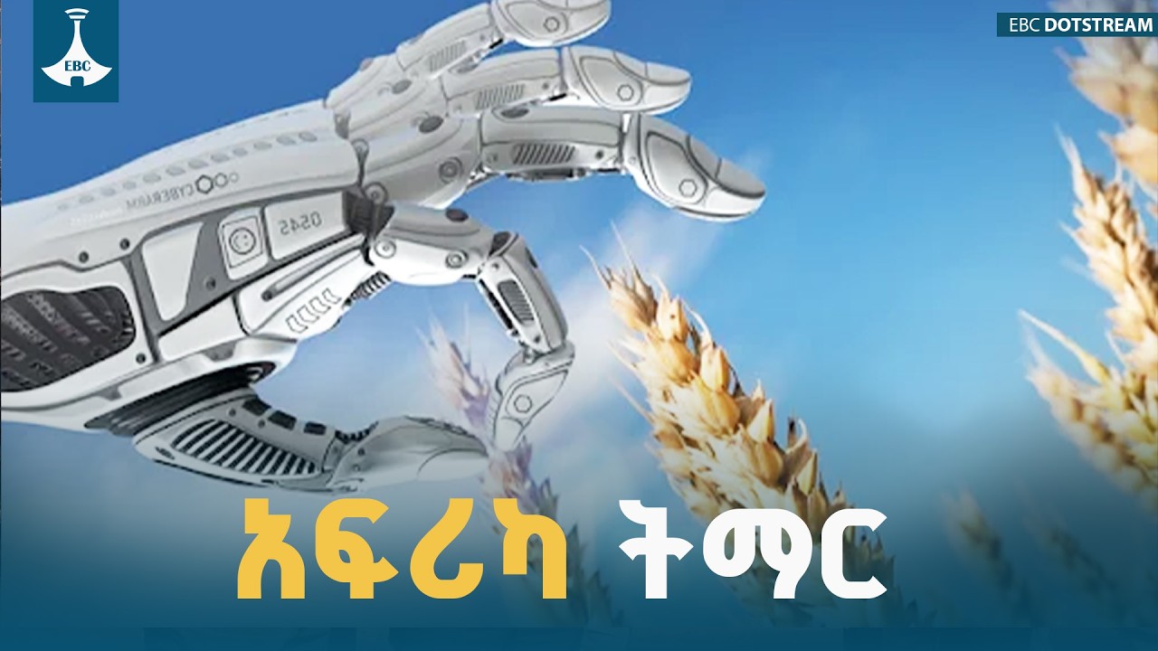 የኢትዮጵያ የስንዴ ምርትና AI ስኬት፡ መላው አፍሪካ ሊማርበት የሚገባው እውነት | ኮሚሽነር ሞሰስ ቪላካቲ  ETV | EBC | EBCDOTSTREAM