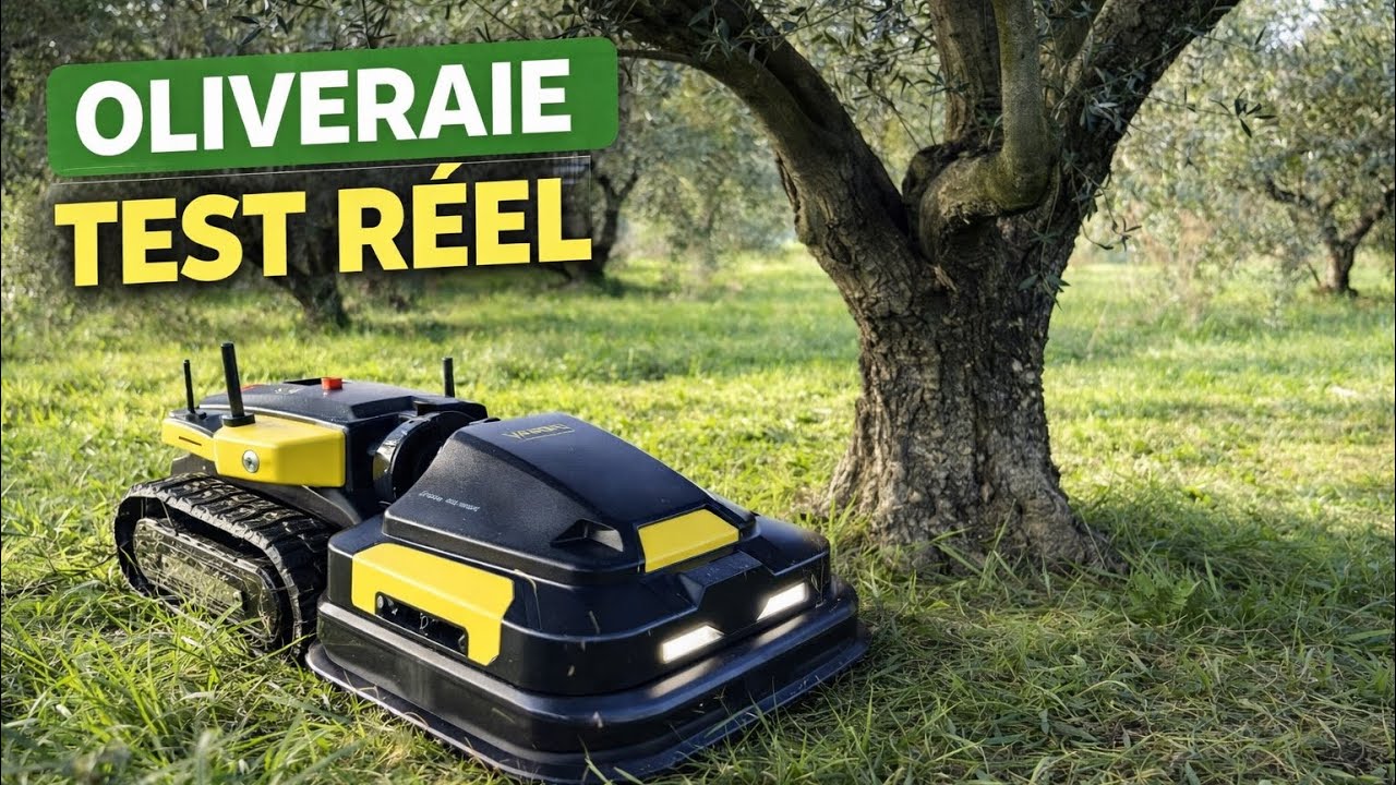 Robot de tonte Yarbo : est-il adapté à une oliveraie ?