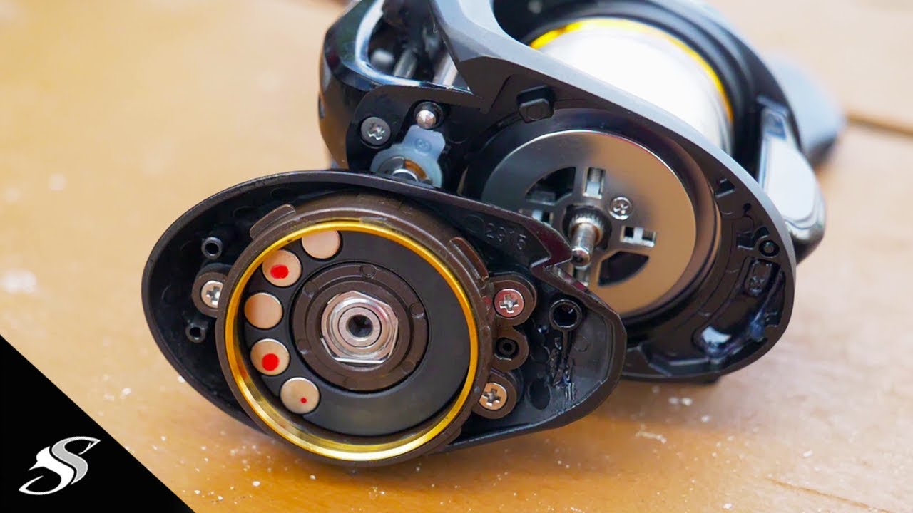 Lew's tournament MB speed spool - First Look!