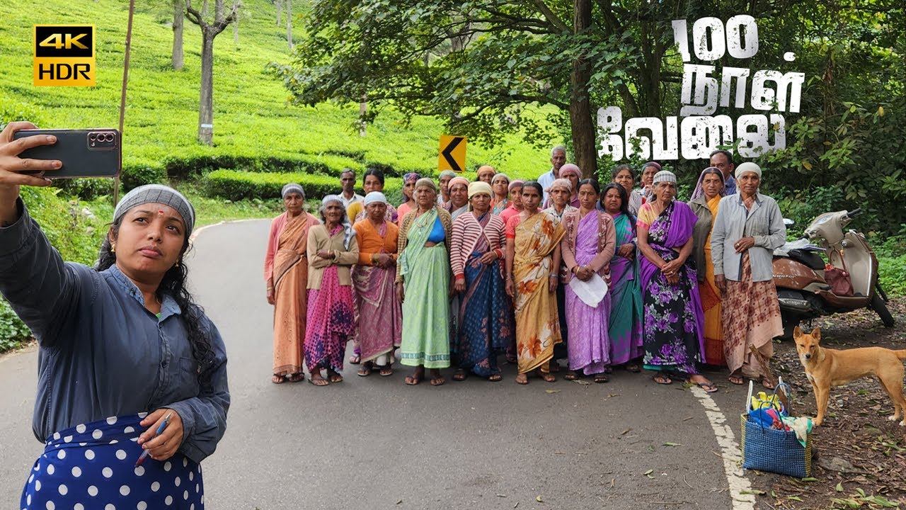 100 DAYS WORK | Ooty Nilgiris | 100 நாள் வேலை 