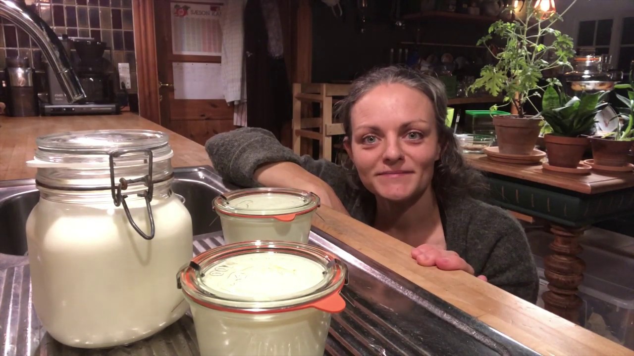 Hjemmelavet Yoghurt
