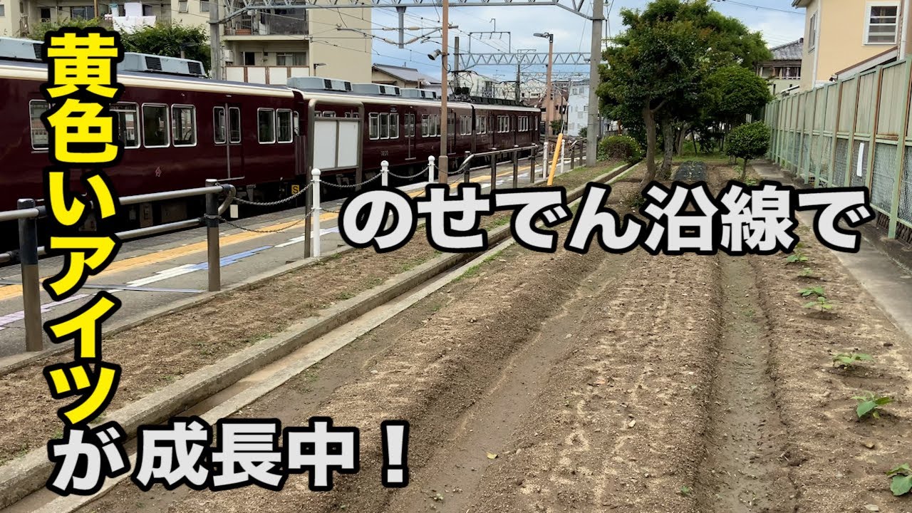 【能勢電鉄公式】のせでんがアップをはじめたようです