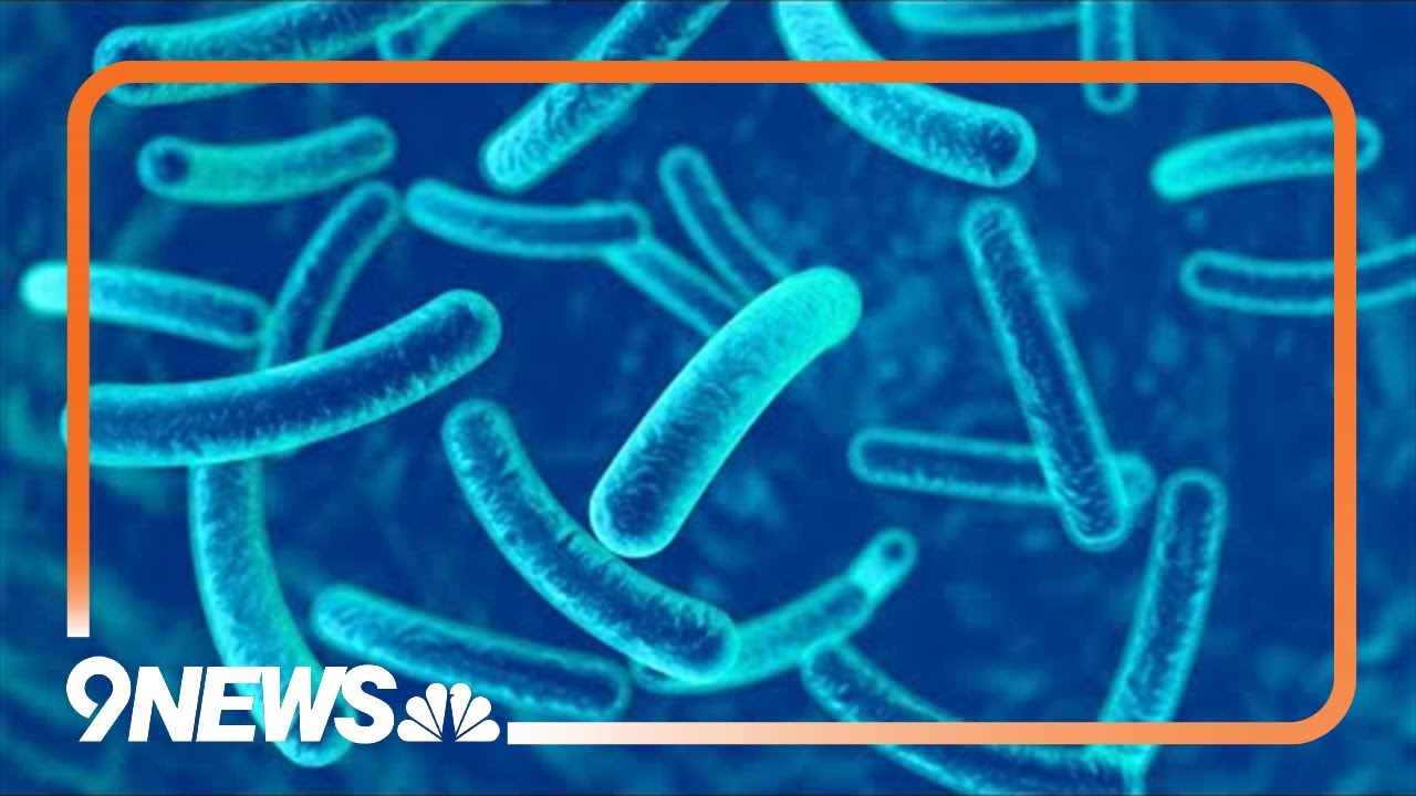Health expert discusses the increase in &lsquo;nightmare bacteria&rsquo; infections