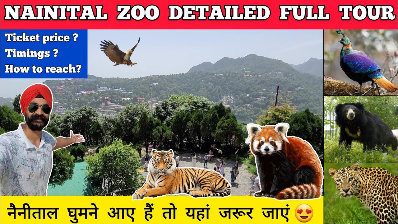 Nainital zoo vlog - Nainital zoo ticket price | Nainital zoo tour - Nainital zoo video all animals