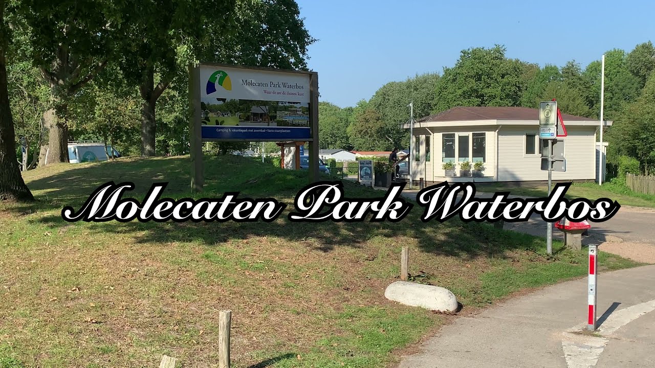 Molecaten Park Waterbos Rockanje.