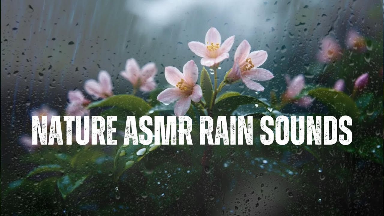 🌧️ Nature ASMR Rain Sounds in Rainforest for Mind Relaxation