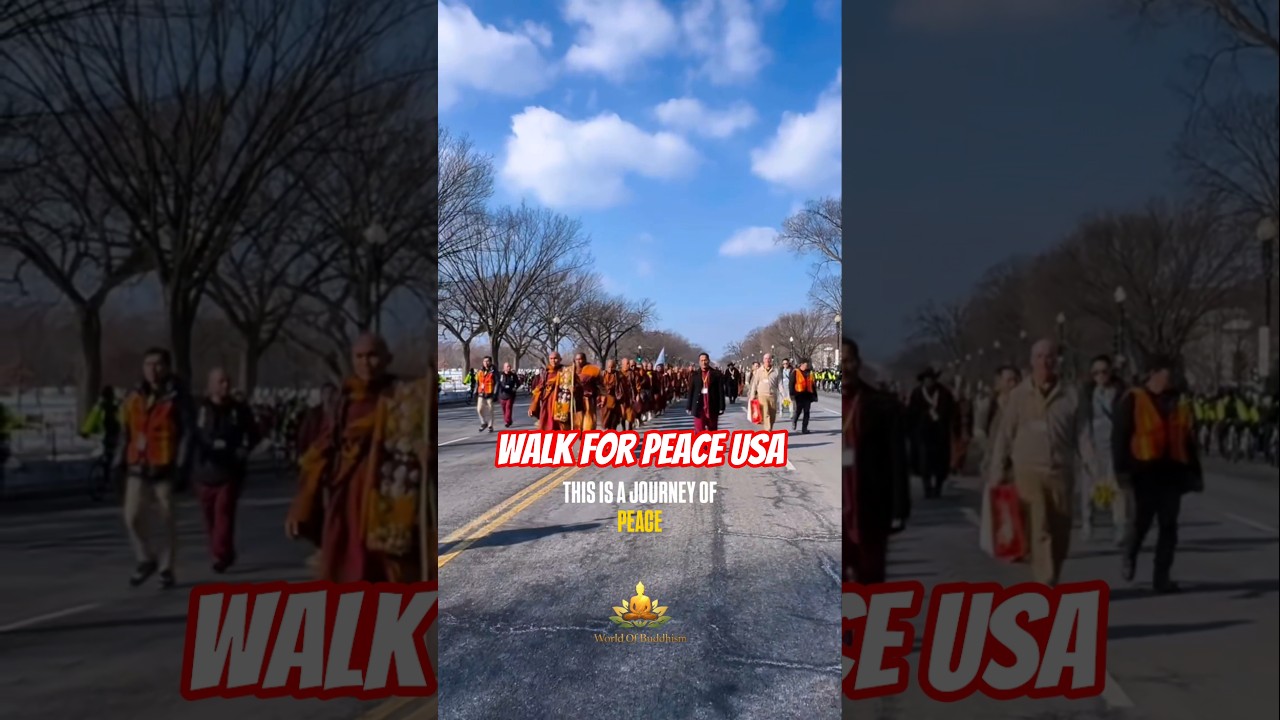 Прогулка за мир | Осознанность на каждом шагу #walkforpeace #bhikkhupannakara