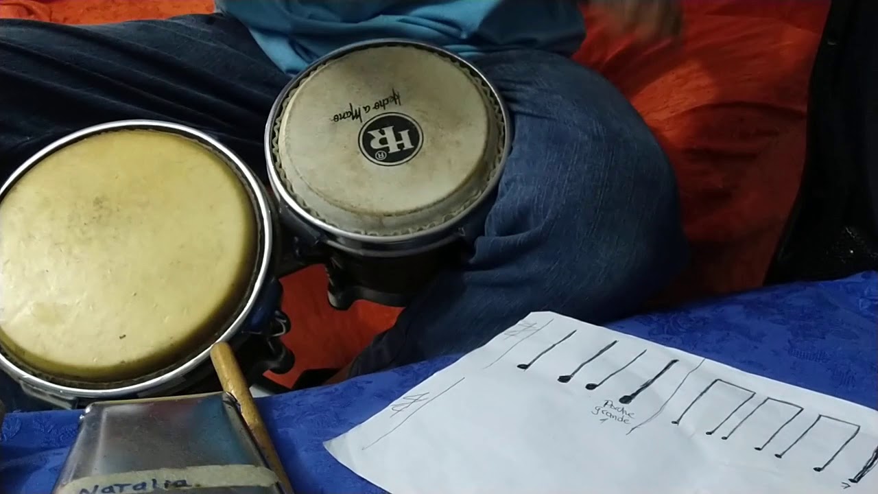 Aprenda a tocar bongo sin tener ningún conocimiento