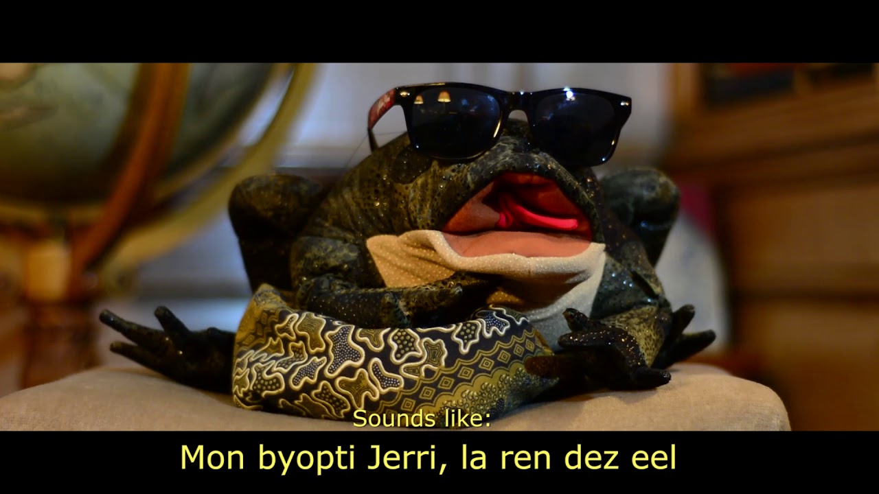 Mission: Save Jèrriais! (Part 2 A - teaching the full song)