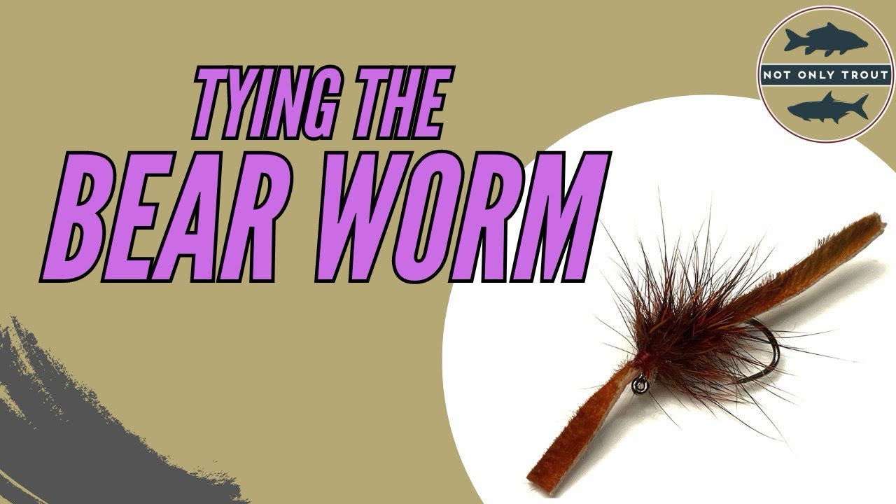 Bear Worm