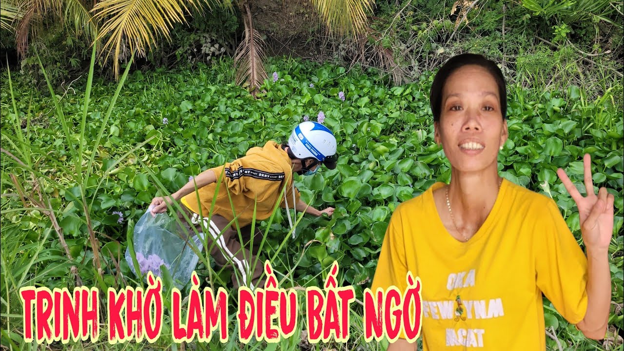 Ngạc Nhiên Sáng Sớm Trinh Khờ Ra Đồng Làm Điều Này| ÚT ĐỒNG THÁP 