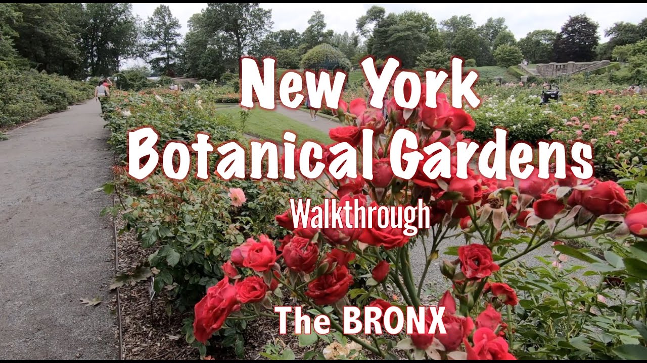 Walkthrough of the New York Botanical Gardens - The Bronx
