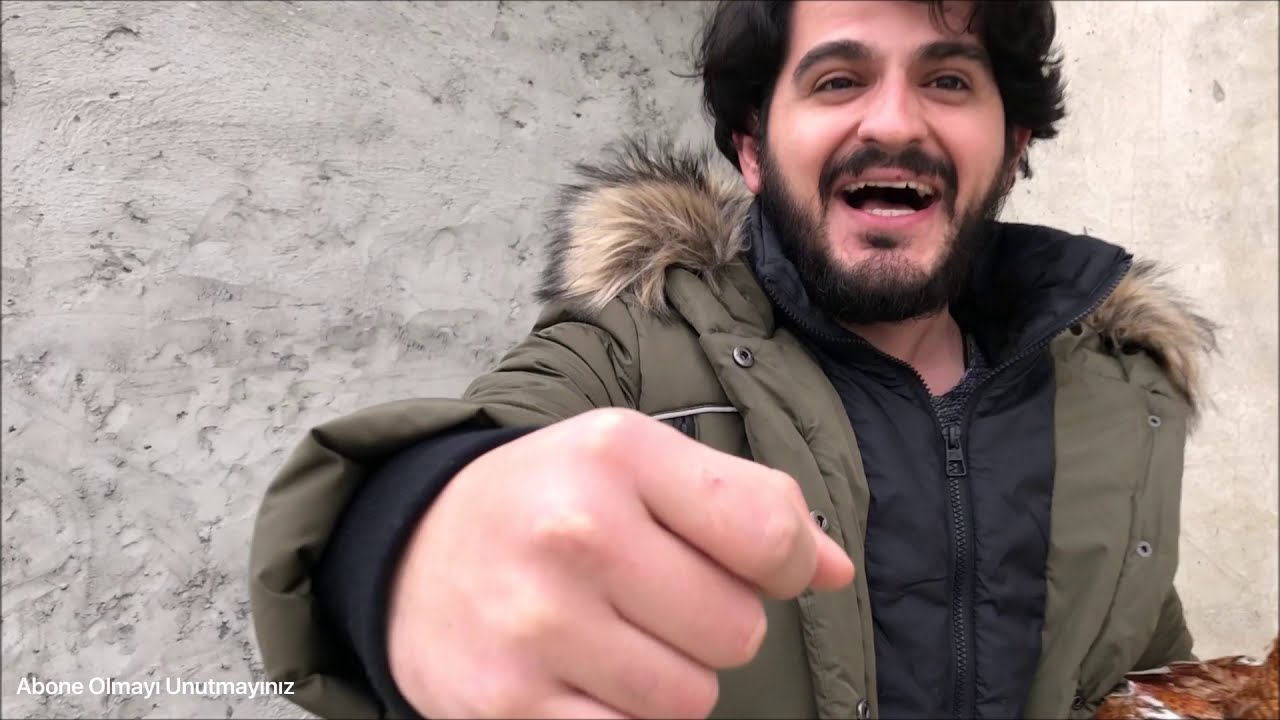Hint Horozu Çiftliğindeki Horozlar Yeni Sahiplerini Bekliyor #hinthorozu #horoz #Indiancock