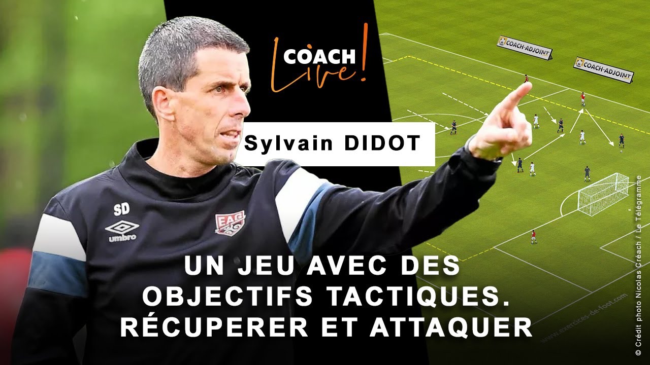 Sylvain Didot : de la Ligue 2 à Vannes – un jeu tactique pour progresser collectivement