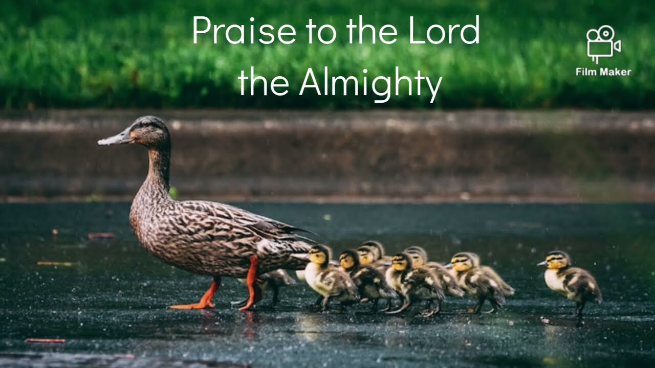 Praise to the Lord the Almighty, the King of Creation ~ Rhona Alcorn 