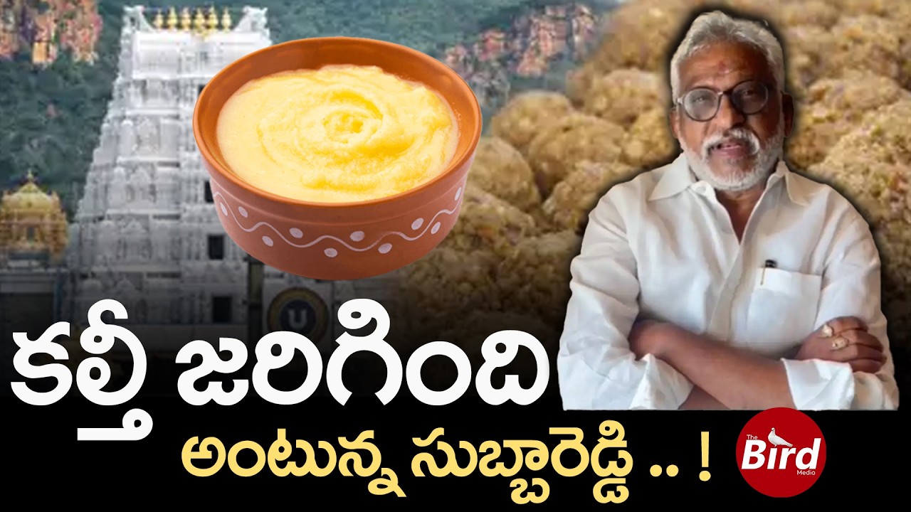 కల్తీ జరిగింది అంటున్న సుబ్బారెడ్డి..! | YV Subba Reddy Gives Clarity On Tirumala Laddu Controversy