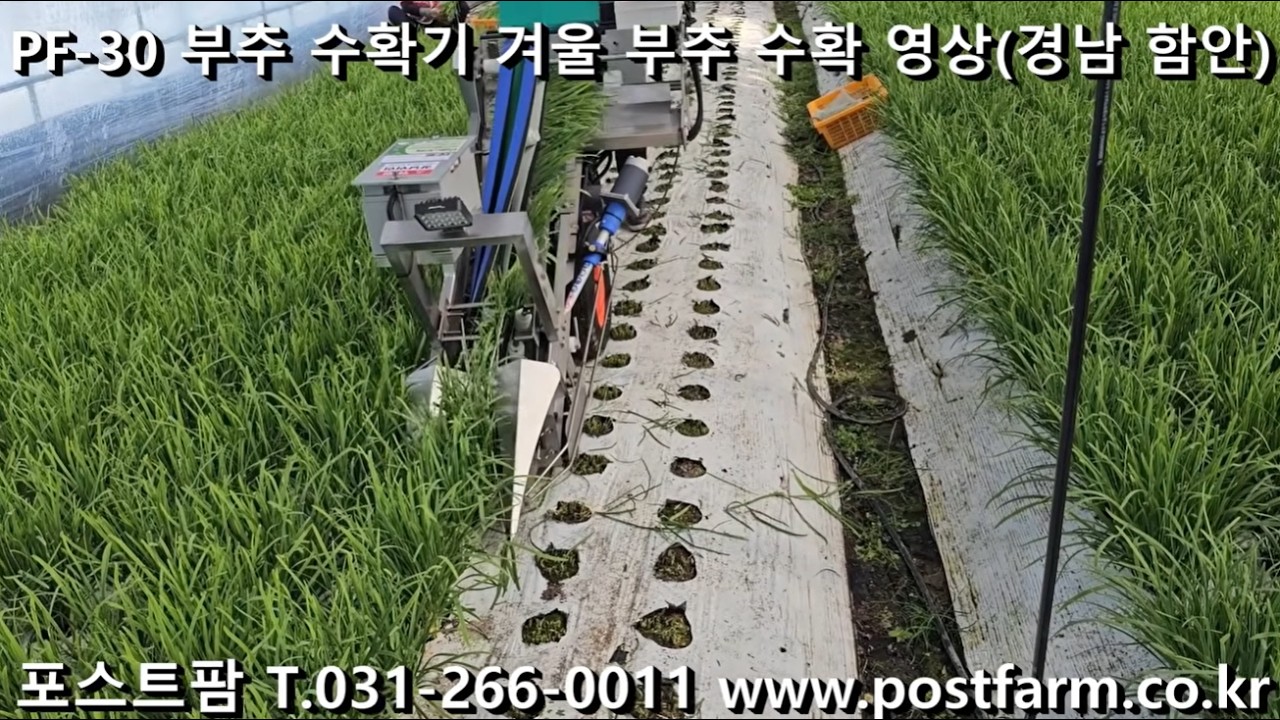 부추수확기(PF 30) 포스트팜 031-266-0011 www.postfarm.co.kr