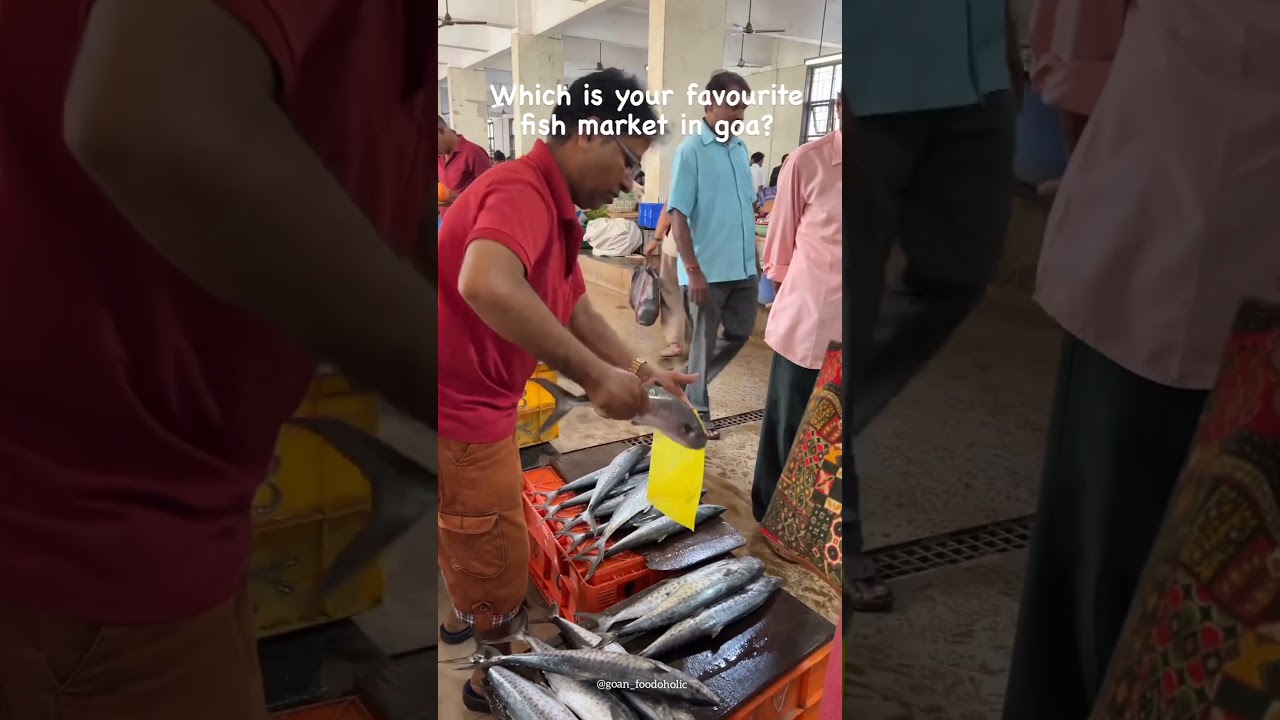 Mapusa Fish Market 🐟🐠🍤...🎥 @iaminevitable11 .#goa #goadiaries #goafish #fish #fishmarket #prawns