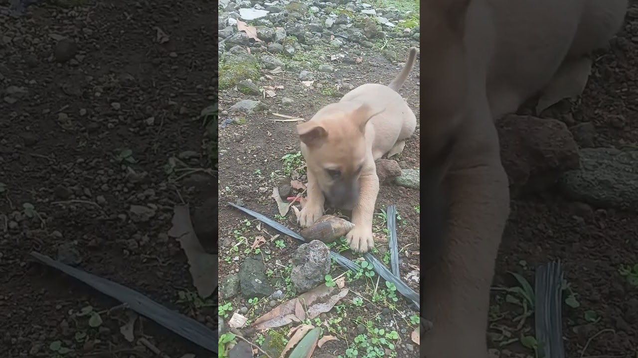 Ada aja tingkahnya