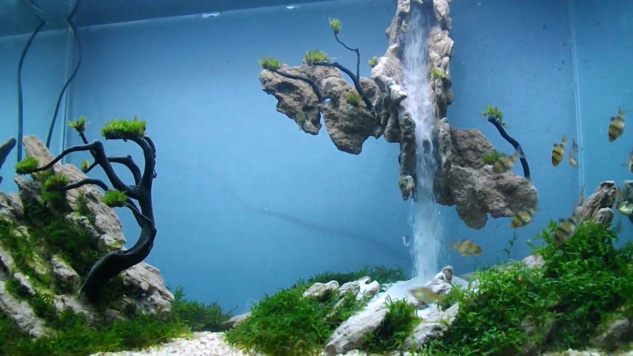 AQUASCAPE WATERFALL - Waterfall Aquarium Setup, Using Sandstone And Moss Plants