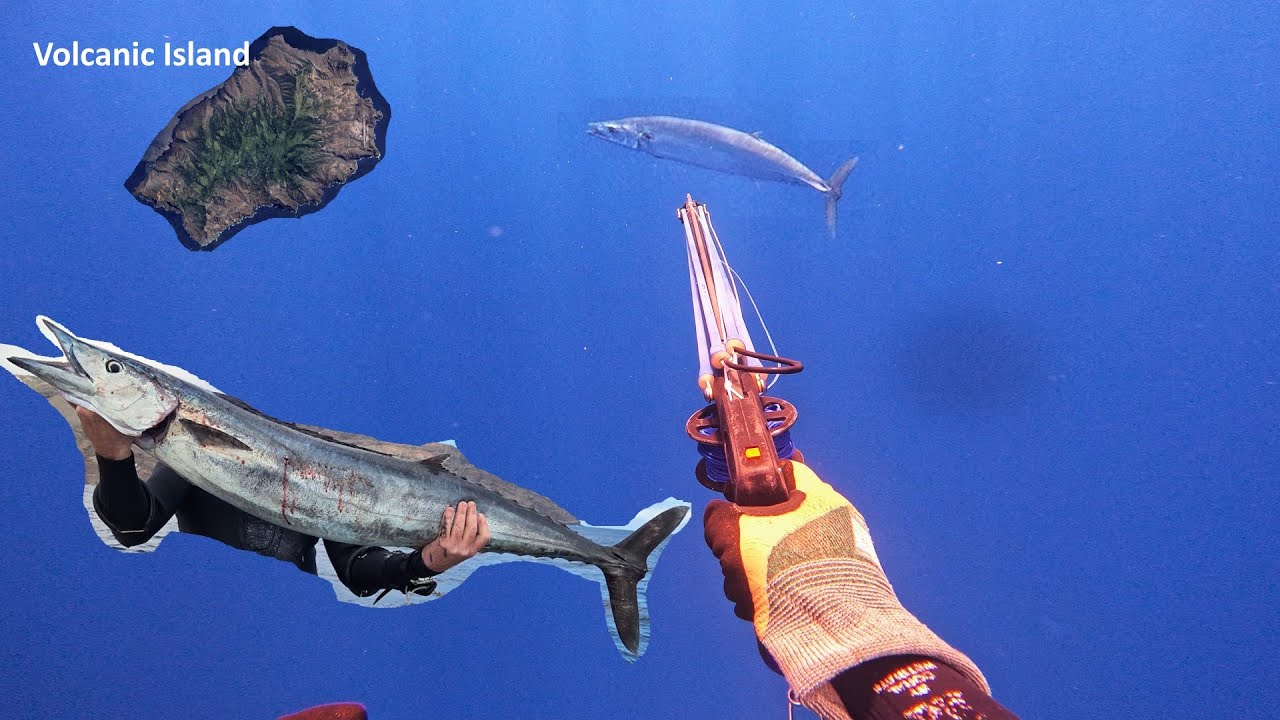 Monster Wahoo! Spearfishing St. Helena