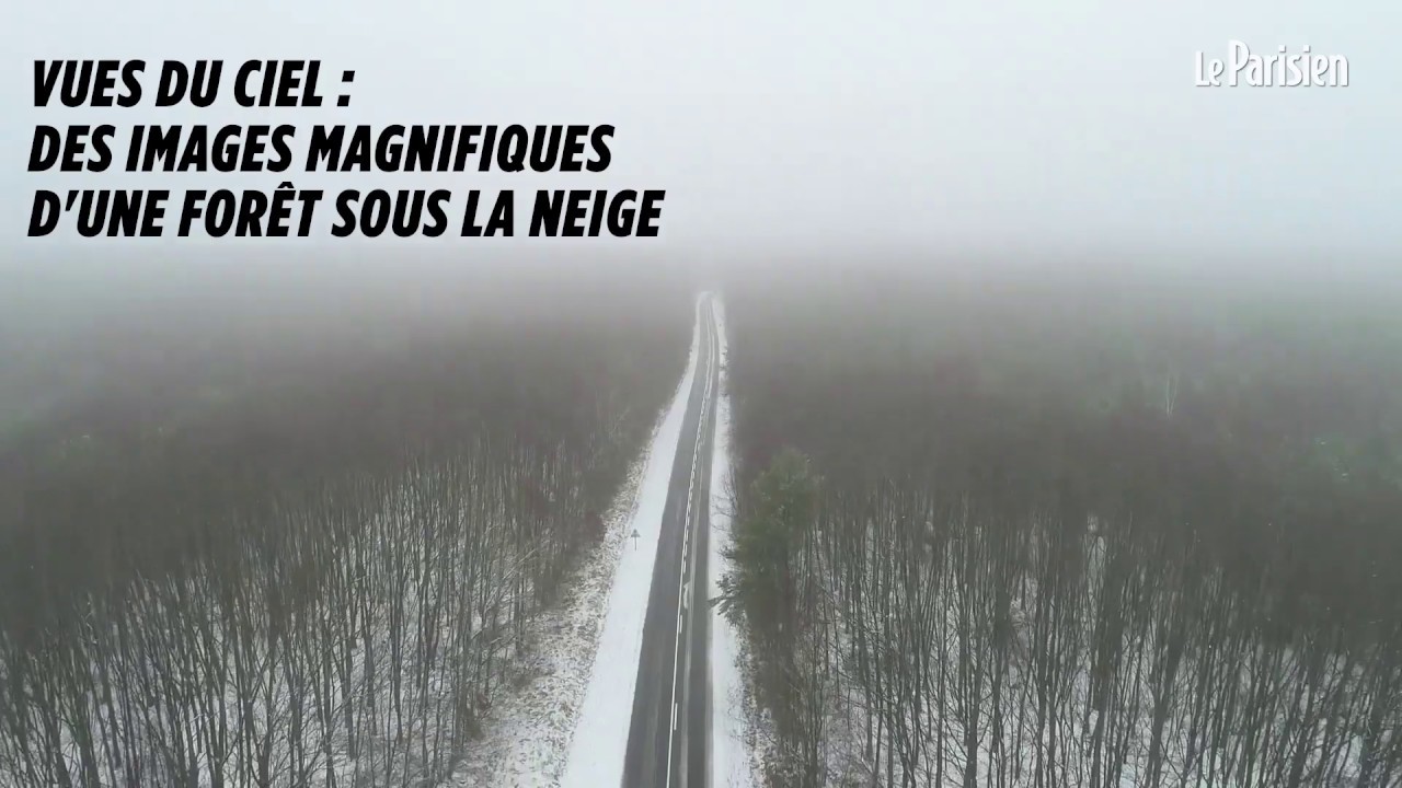 Magique : la for&ecirc;t de Rambouillet sous la neige, film&eacute;e depuis un drone