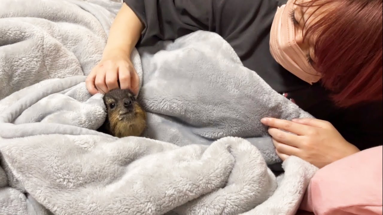 最強の起こし屋と寝ようとするとこうなる