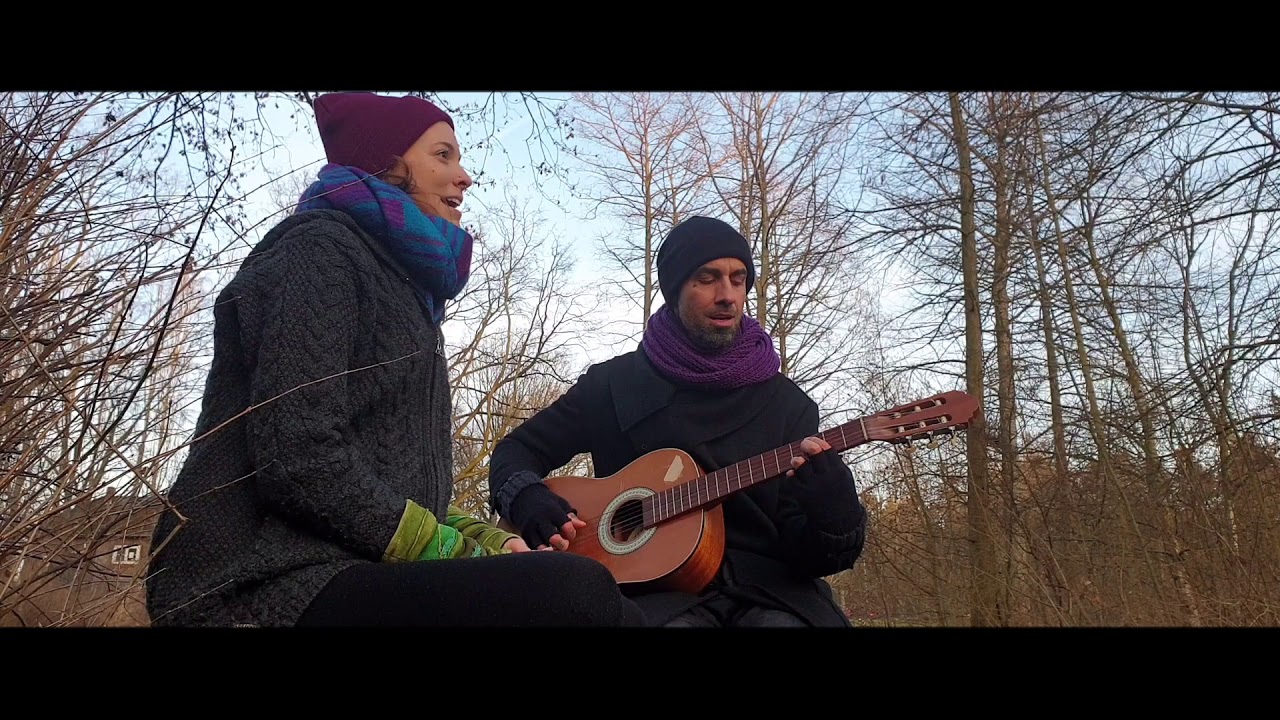 The Beatles - Blackbird (Cover by Nader Rahy & Milo)