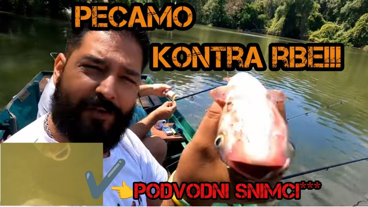 Pecanje tolstolobika. Ribolov na Tehnoplankton tablete