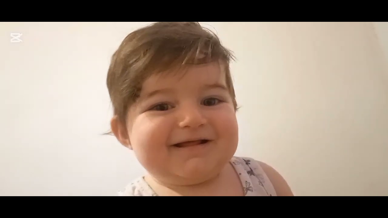 Vlog