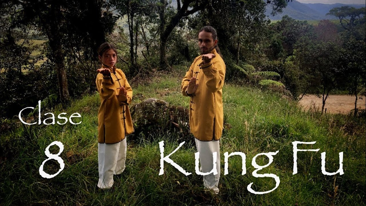 Nuevos pasos en la técnica Kung Fu universal # 1 *Clase 8 de Kung Fu *