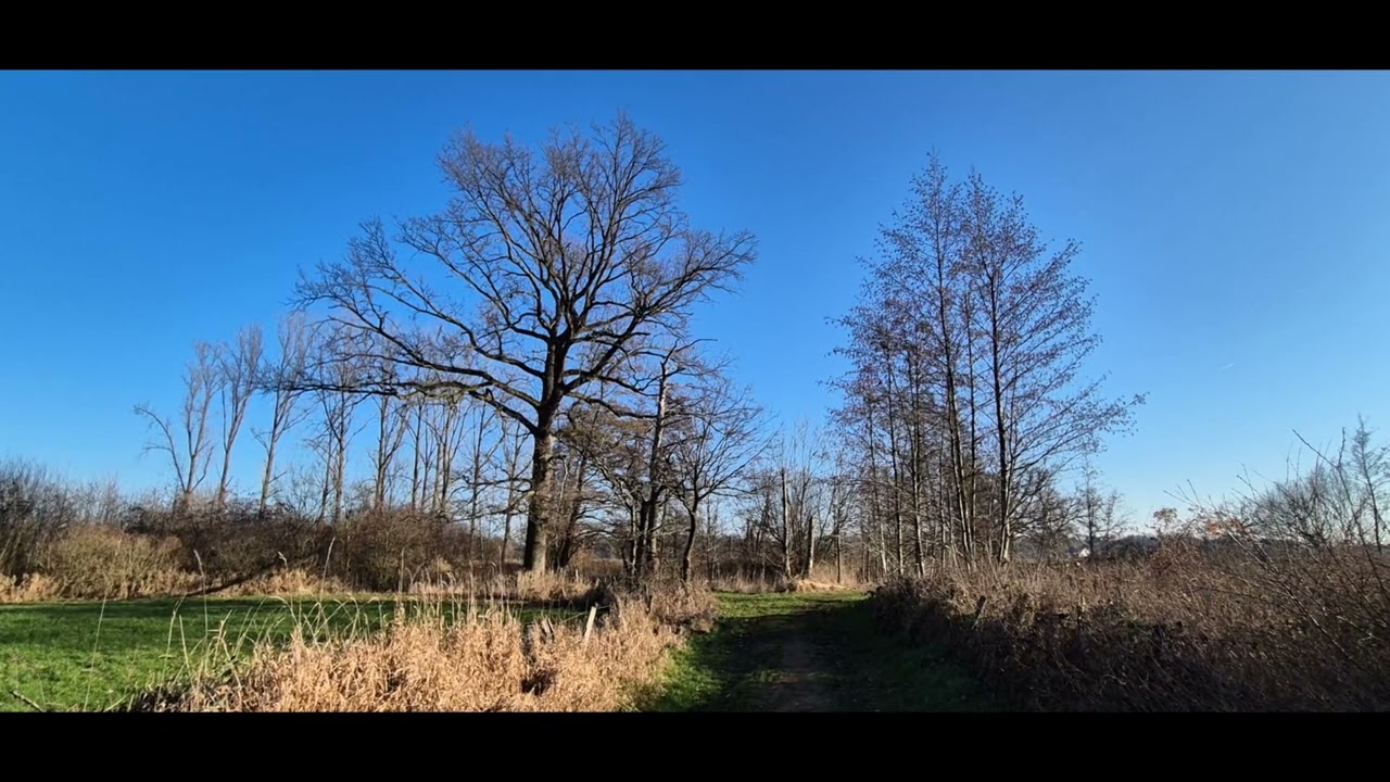 Dwars doorheen 't Creyndert & Rooiaarde  / Natuurpark Grote NeteWoud 2025.