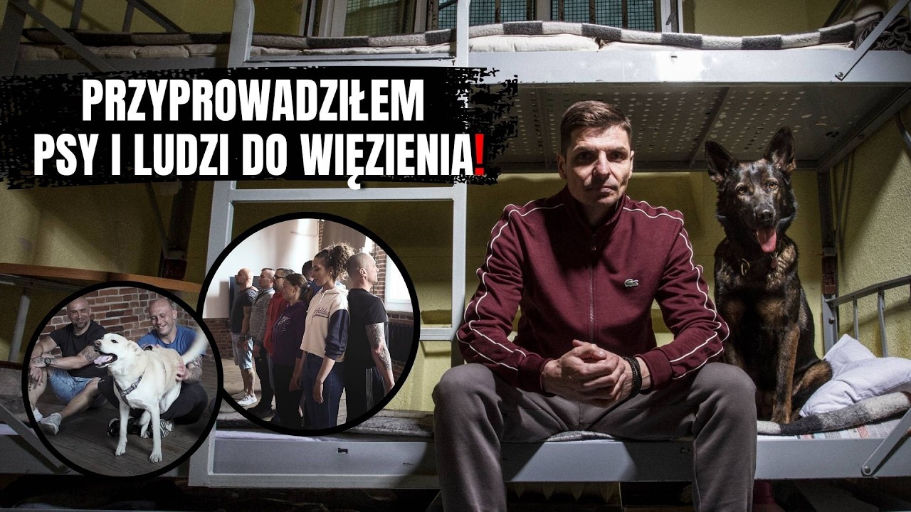 PRZYPROWADZIŁEM PSY I LUDZI DO WIĘZIENIA – ZOBACZ, CO SIĘ WYDARZYŁO!