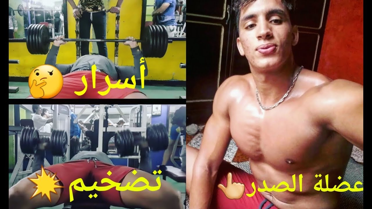 EP2:CHEST WORKOUT|هام 🤔 برنامج لتضخيم الصدر كامل مع شرح كل تمرين